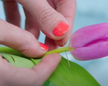 Ze prikt met een naald n de stam van een tulp, wat er gebeurt moet je zien!