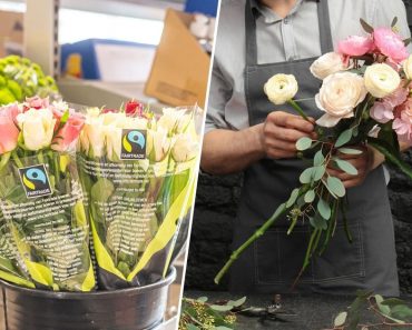 Aha, dit is dus de reden dat een bos bloemen bij de supermarkt soms wel 3 keer zo goedkoop is