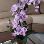 Orchidee Haakpatroon