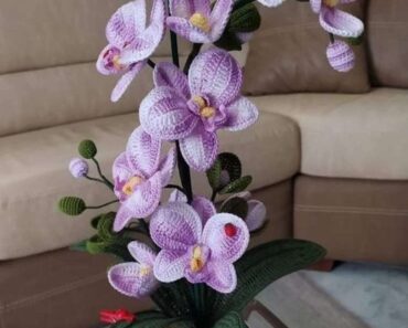 Orchidee Haakpatroon